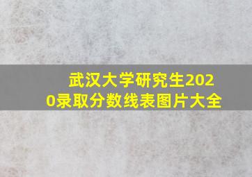 武汉大学研究生2020录取分数线表图片大全