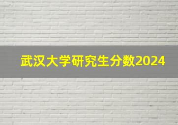 武汉大学研究生分数2024