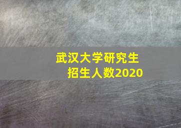 武汉大学研究生招生人数2020