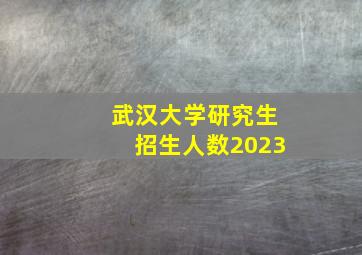 武汉大学研究生招生人数2023