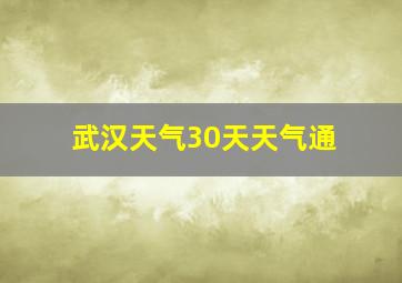 武汉天气30天天气通