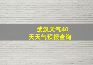 武汉天气40天天气预报查询