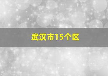 武汉市15个区