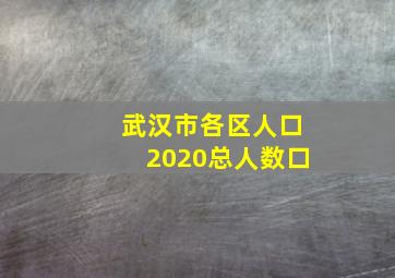 武汉市各区人口2020总人数口