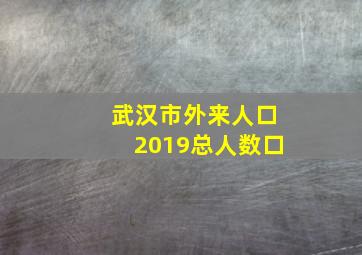 武汉市外来人口2019总人数口