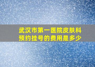 武汉市第一医院皮肤科预约挂号的费用是多少