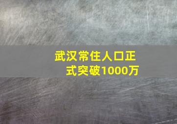 武汉常住人口正式突破1000万