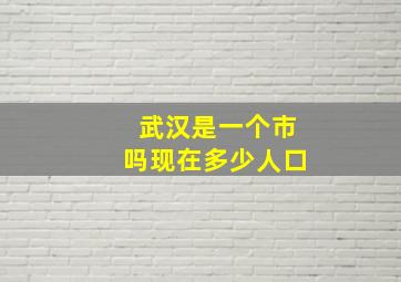 武汉是一个市吗现在多少人口