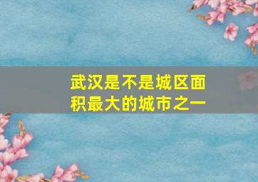 武汉是不是城区面积最大的城市之一