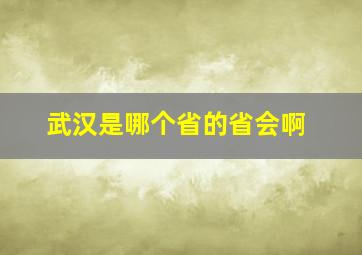 武汉是哪个省的省会啊