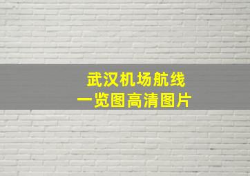 武汉机场航线一览图高清图片