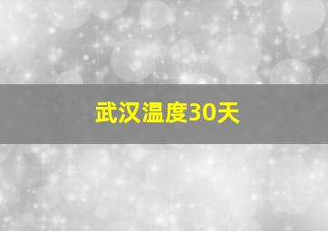 武汉温度30天