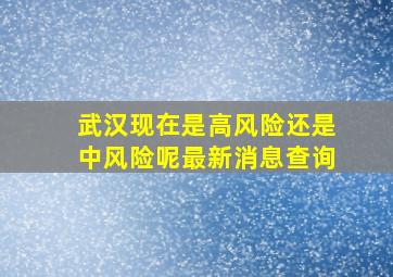 武汉现在是高风险还是中风险呢最新消息查询