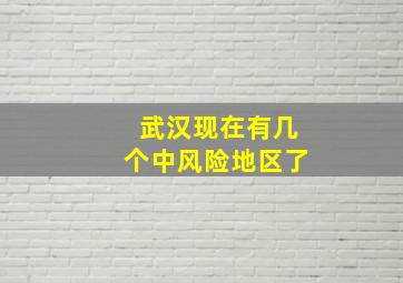 武汉现在有几个中风险地区了