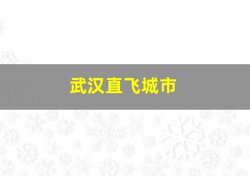 武汉直飞城市