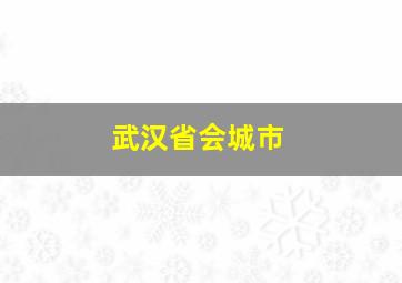 武汉省会城市