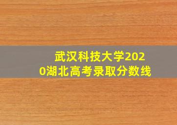 武汉科技大学2020湖北高考录取分数线