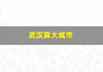 武汉算大城市