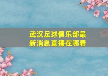 武汉足球俱乐部最新消息直播在哪看