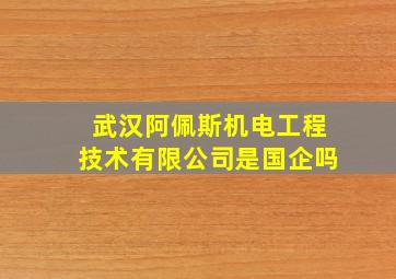 武汉阿佩斯机电工程技术有限公司是国企吗