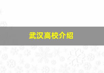 武汉高校介绍