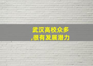 武汉高校众多,很有发展潜力