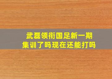 武磊领衔国足新一期集训了吗现在还能打吗