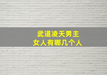 武道凌天男主女人有哪几个人