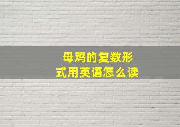 母鸡的复数形式用英语怎么读