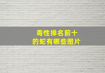 毒性排名前十的蛇有哪些图片