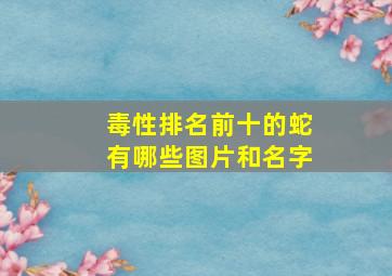 毒性排名前十的蛇有哪些图片和名字