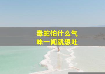 毒蛇怕什么气味一闻就想吐