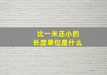 比一米还小的长度单位是什么