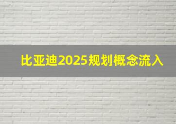 比亚迪2025规划概念流入