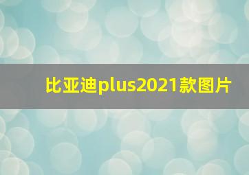 比亚迪plus2021款图片