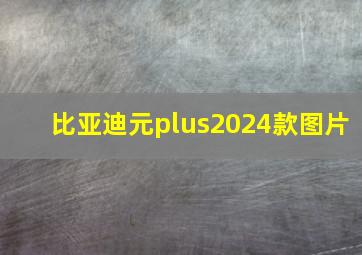 比亚迪元plus2024款图片