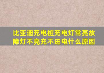 比亚迪充电桩充电灯常亮故障灯不亮充不进电什么原因