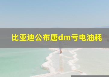 比亚迪公布唐dm亏电油耗