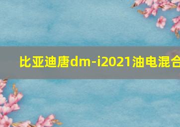 比亚迪唐dm-i2021油电混合