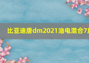 比亚迪唐dm2021油电混合7座