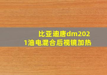 比亚迪唐dm2021油电混合后视镜加热