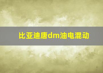 比亚迪唐dm油电混动