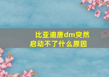 比亚迪唐dm突然启动不了什么原因