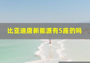 比亚迪唐新能源有5座的吗