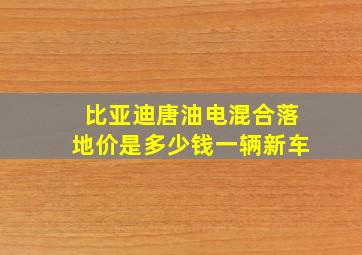 比亚迪唐油电混合落地价是多少钱一辆新车