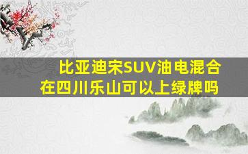 比亚迪宋SUV油电混合在四川乐山可以上绿牌吗