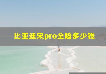 比亚迪宋pro全险多少钱