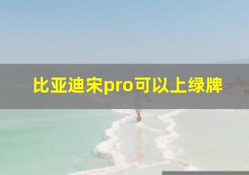 比亚迪宋pro可以上绿牌