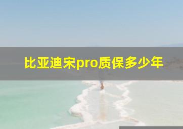 比亚迪宋pro质保多少年