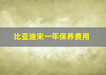 比亚迪宋一年保养费用